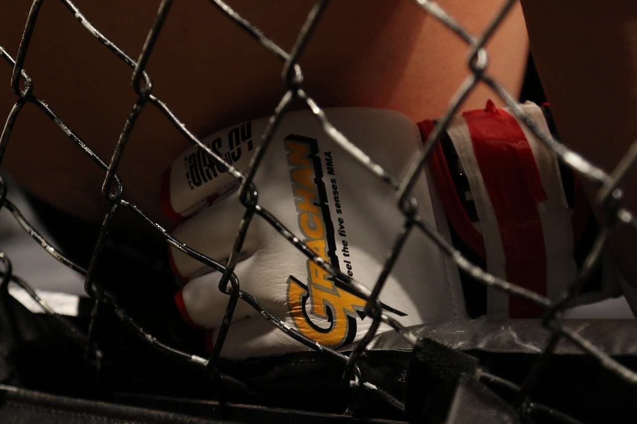 Come scommettere sulle arti marziali, UFC e MMA
